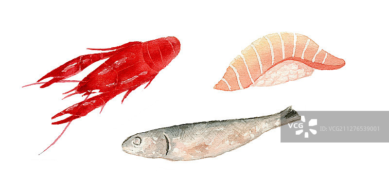 水彩手绘海鲜食材 小龙虾刀鱼三文鱼寿司图片素材