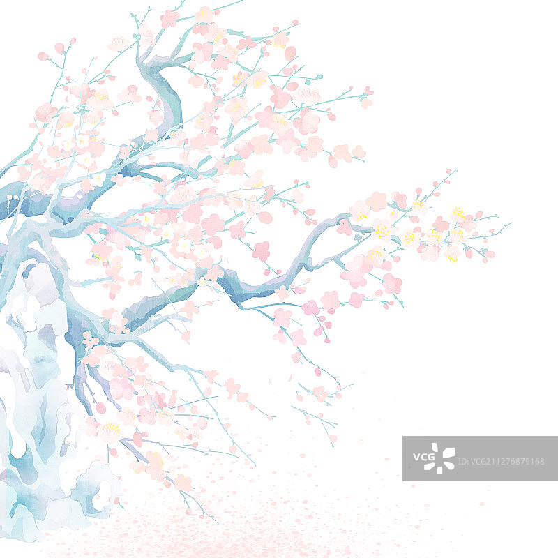 梅兰竹菊之盛开的梅花与假山石插画图片素材