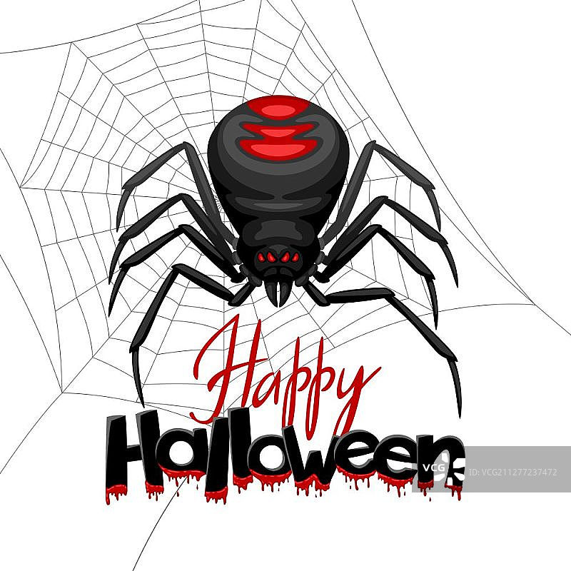 背景与黑寡妇蜘蛛。万圣节快乐的横幅。背景与黑寡妇蜘蛛。图片素材
