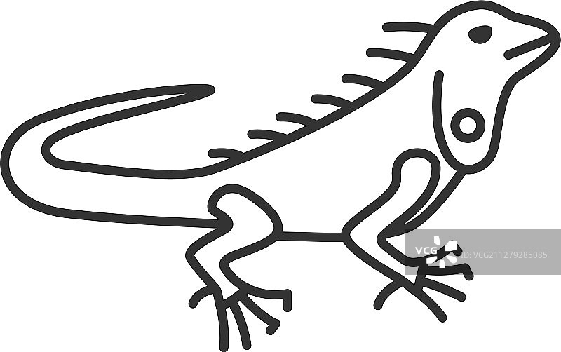 鬣蜥线性图标图片素材