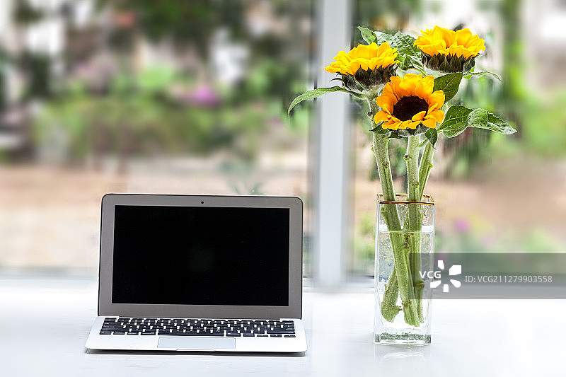 桌面上的笔记本电脑和向日葵插花图片素材