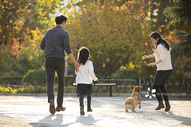 快乐的年轻家庭和宠物狗在户外玩耍图片素材