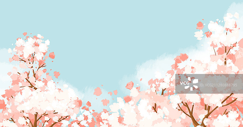 蓝天春季樱花空白背景图片素材