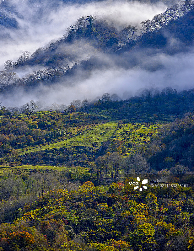 云雾缭绕在山野间的秋色中图片素材