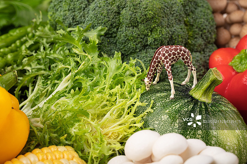 各类蔬菜鲜艳色彩长颈鹿吃菜叶子图片素材