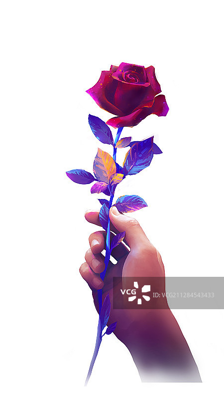 手握一支红色玫瑰花的插画图片素材