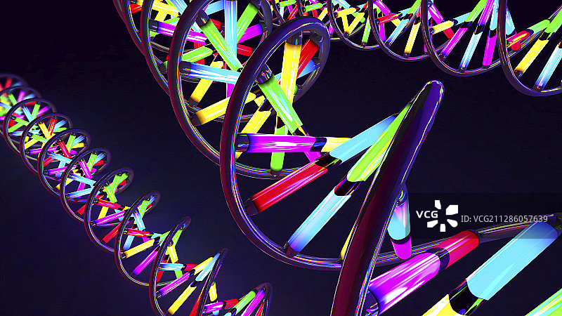 DNA分子、插图图片素材