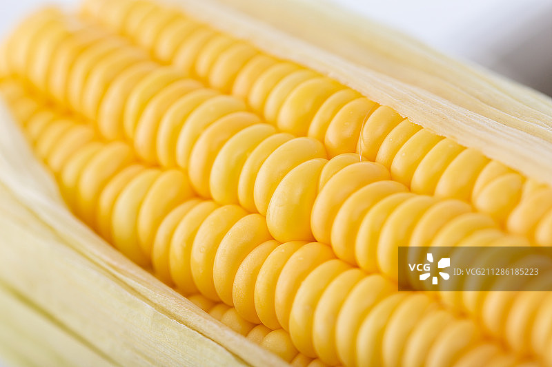 粮食玉米棒图片素材