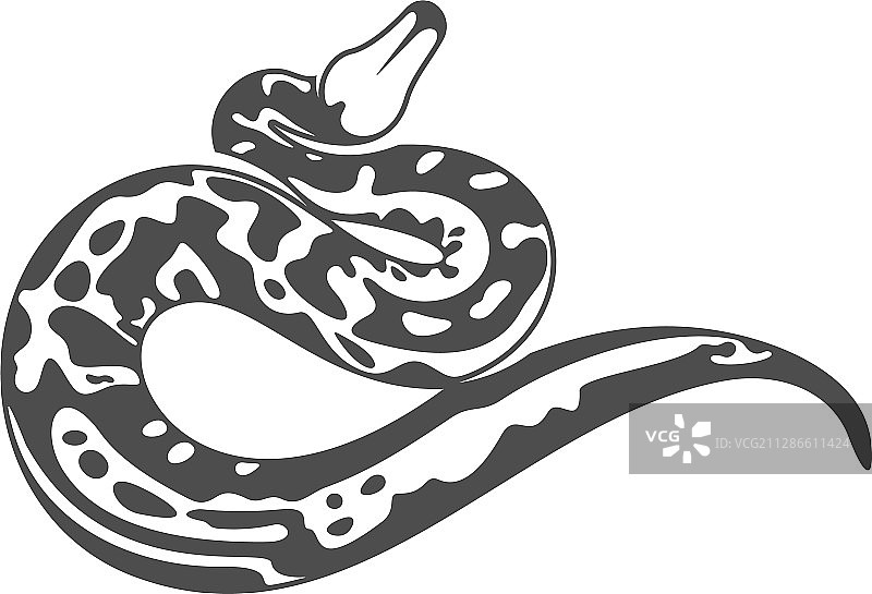 蟒蛇标志动物图形蛇设计图片素材