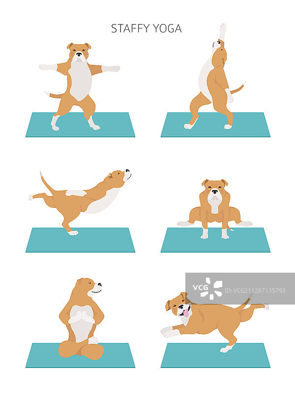 瑜伽狗姿势和运动海报设计图片素材