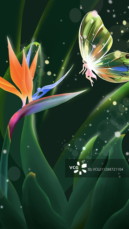 雨露下的植物天堂鸟与晶莹蝴蝶梦幻插画图片素材