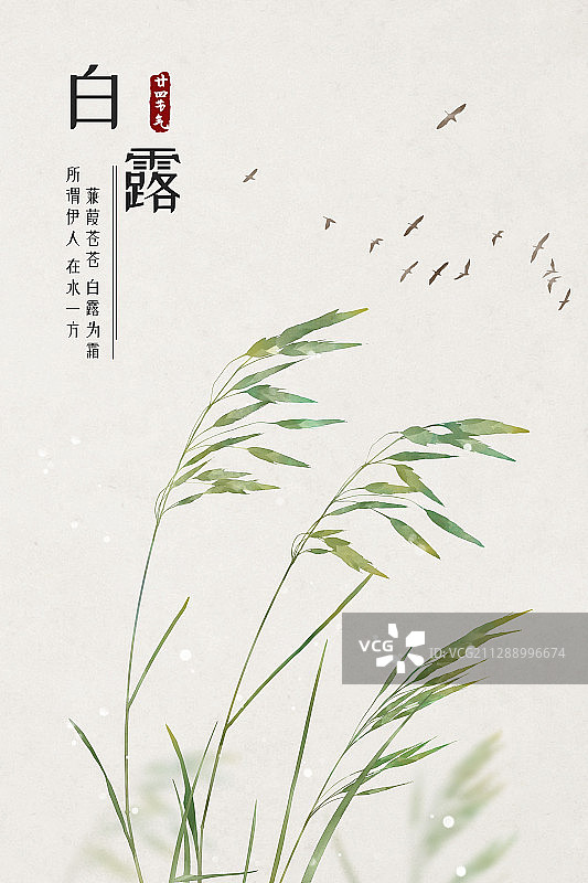 白露中式古风二十四节气海报图片素材