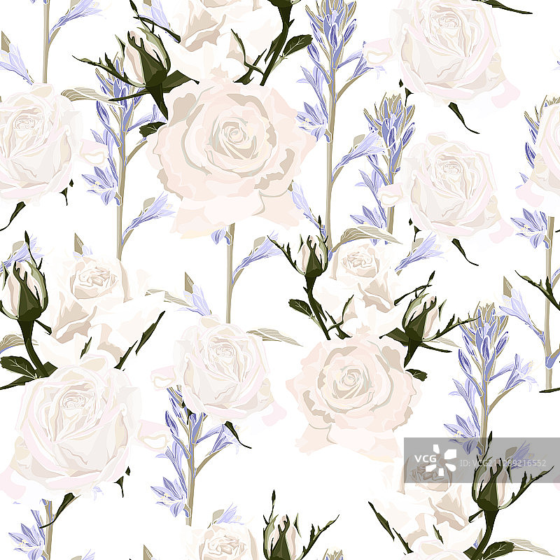 图案白玫瑰花和紫罗兰花图片素材