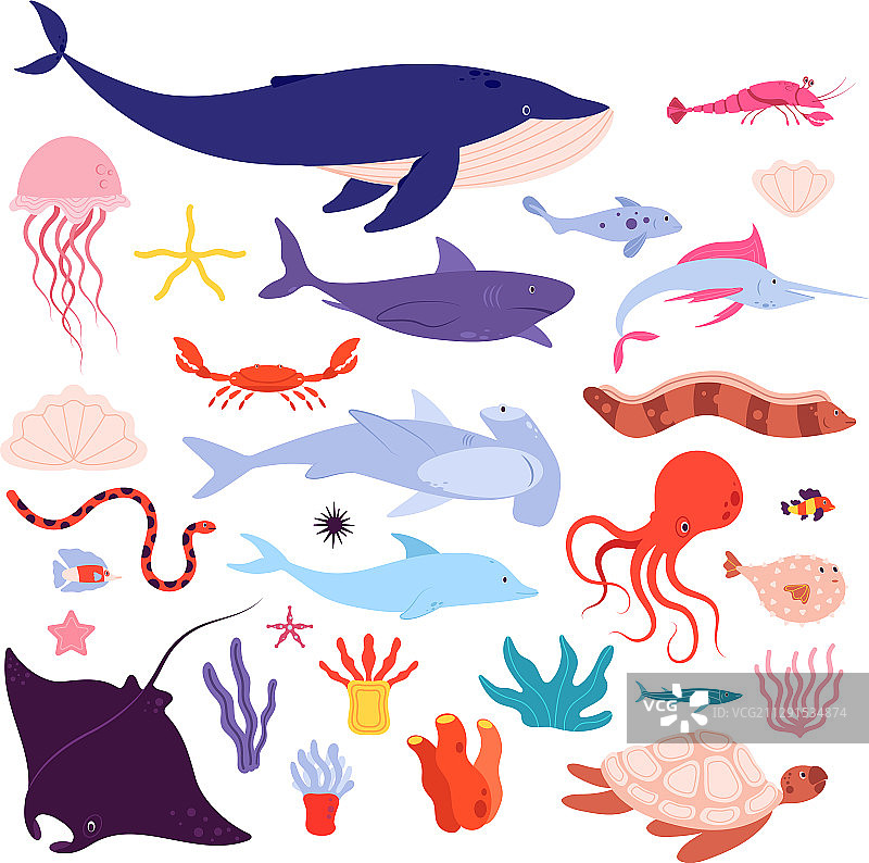 水下的鱼和动物是可爱的海洋动物图片素材