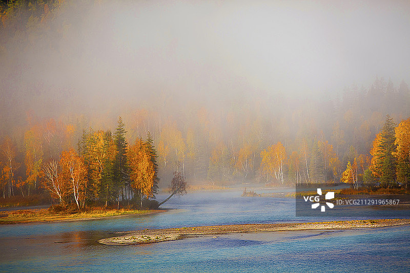 喀纳斯河和森林在秋天的雾，新疆阿尔泰市，中国图片素材