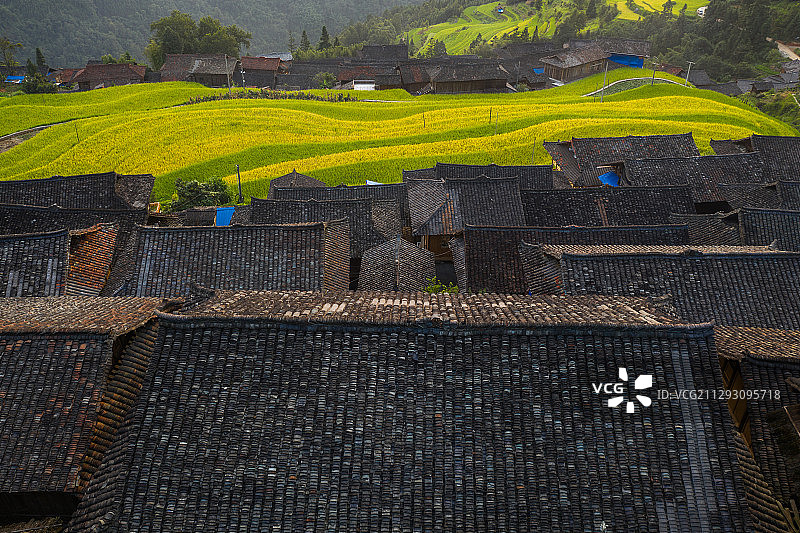 航拍贵州黔东南苗寨的梯田与房屋图片素材