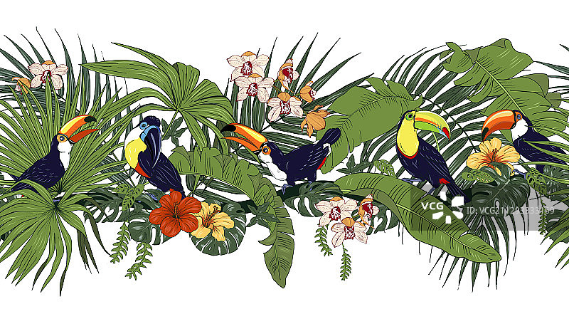 巨嘴鸟与热带植物和花卉无缝隙图片素材