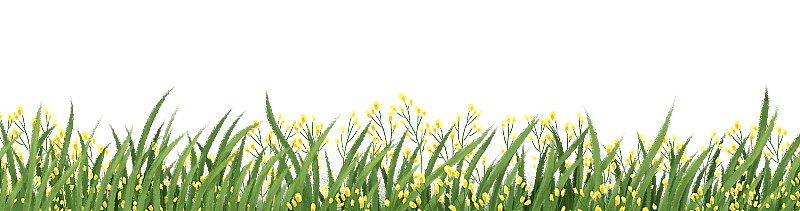 开着黄色小花的草丛图片素材