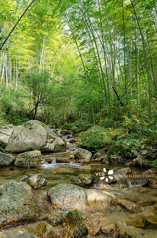 九嶷山景区小溪边的竹林图片素材