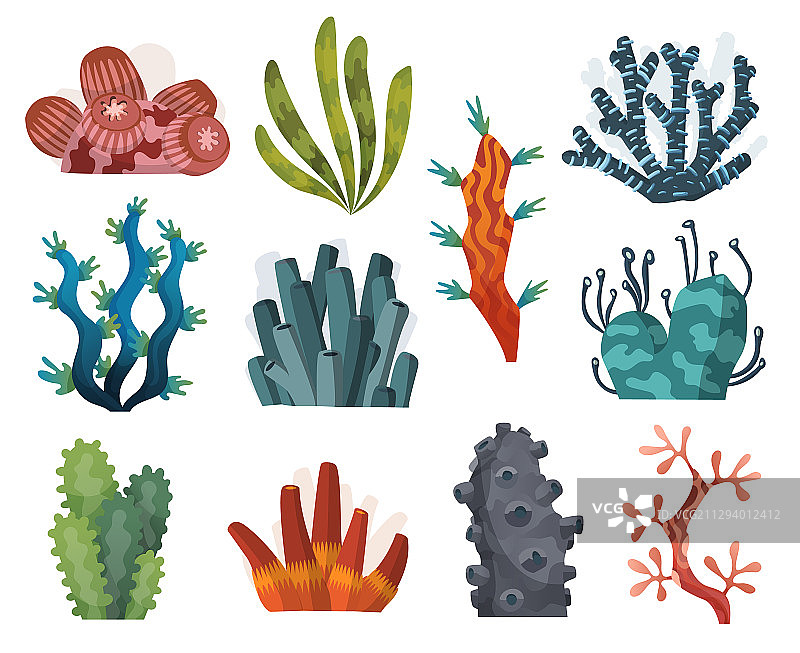 设置水彩海藻和珊瑚孤立图片素材