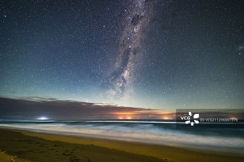 澳大利亚塔斯曼海月光下的暗鸸鹋图片素材