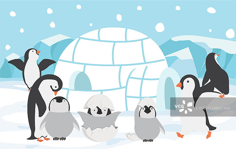 具有北极背景概念的家庭企鹅图片素材