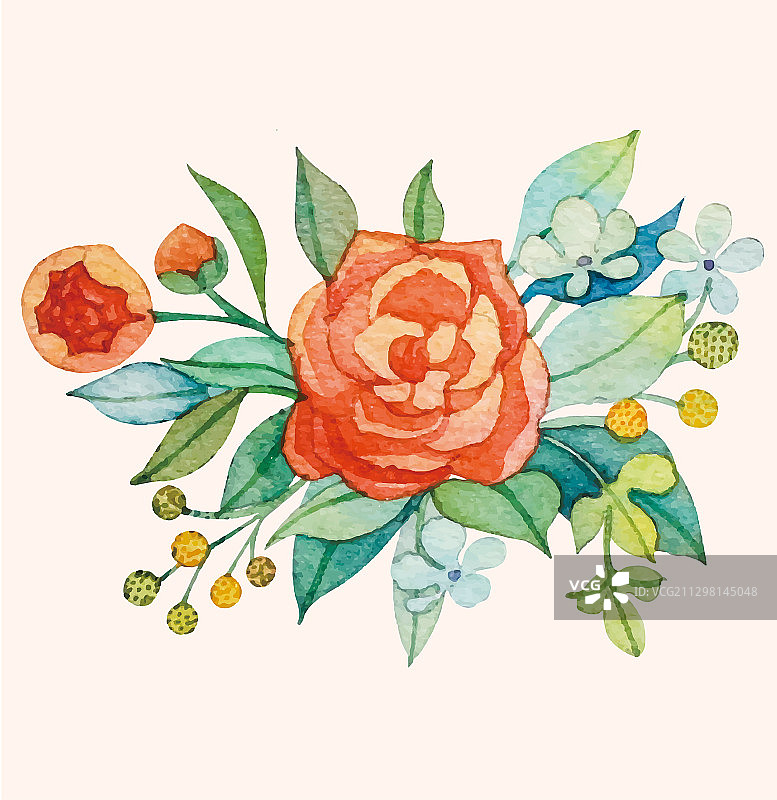 玫瑰牡丹百合虞美人水彩插画图片素材