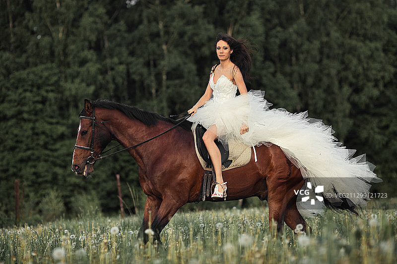 穿着礼服的女人在田野上骑马图片素材