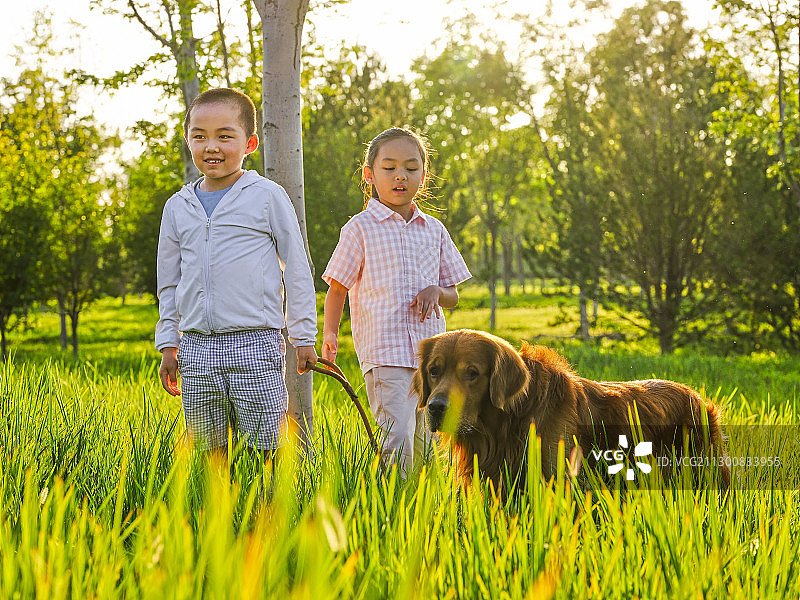 两个快乐的孩子在公园遛狗图片素材