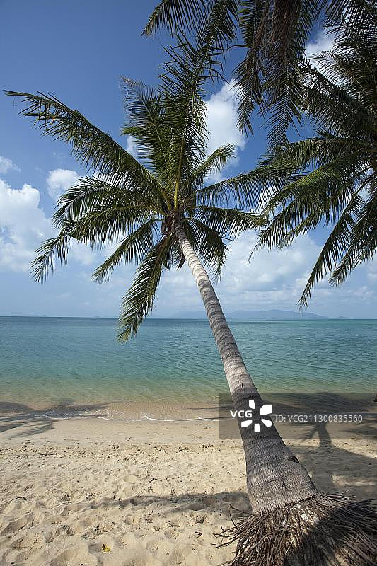 海滩，帽子，拉迈，苏梅岛，苏拉他尼省，泰国，亚洲图片素材