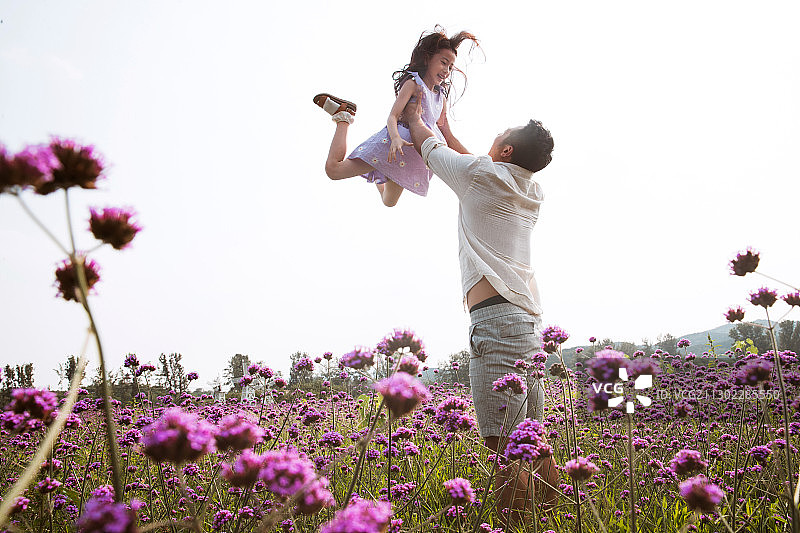 父亲抱着女儿在花丛中玩耍图片素材