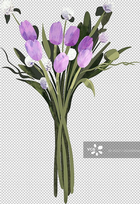 紫色郁金香花束图片素材