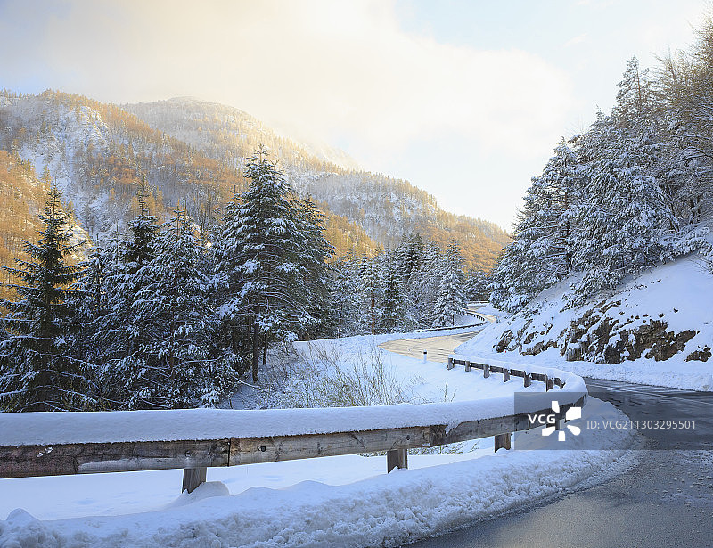 斯洛文尼亚，普雷迪尔山口，Mangartom原木豆荚，白雪覆盖的田野上的树木图片素材
