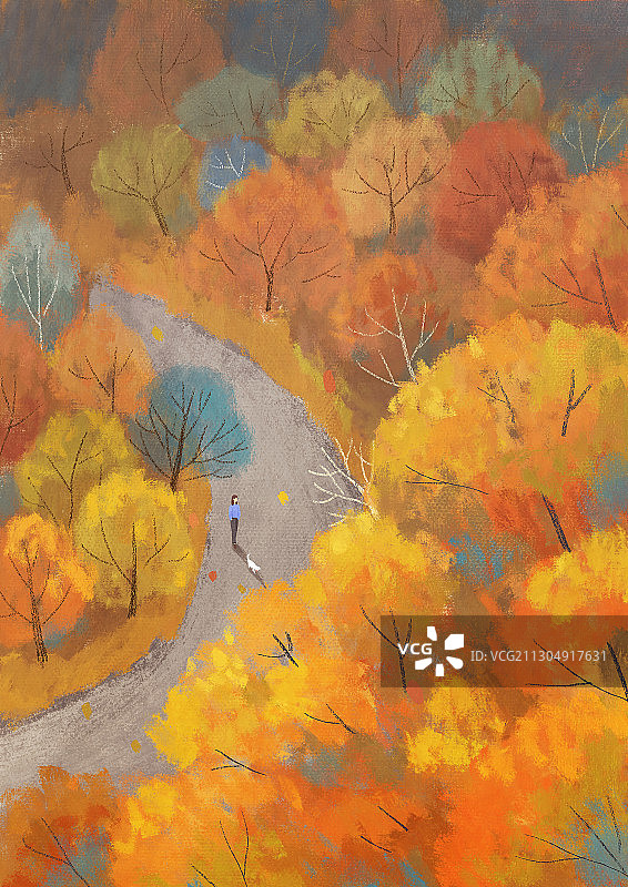 秋天遛狗散步树林图片素材