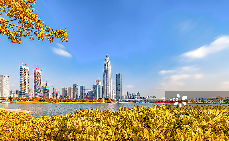 深圳人才公园都市风光城市天际线建筑金融区图片素材