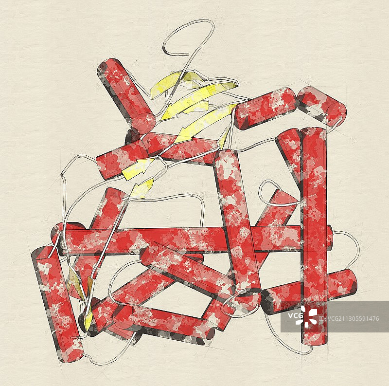 CYP2D6肝酶分子，插图图片素材