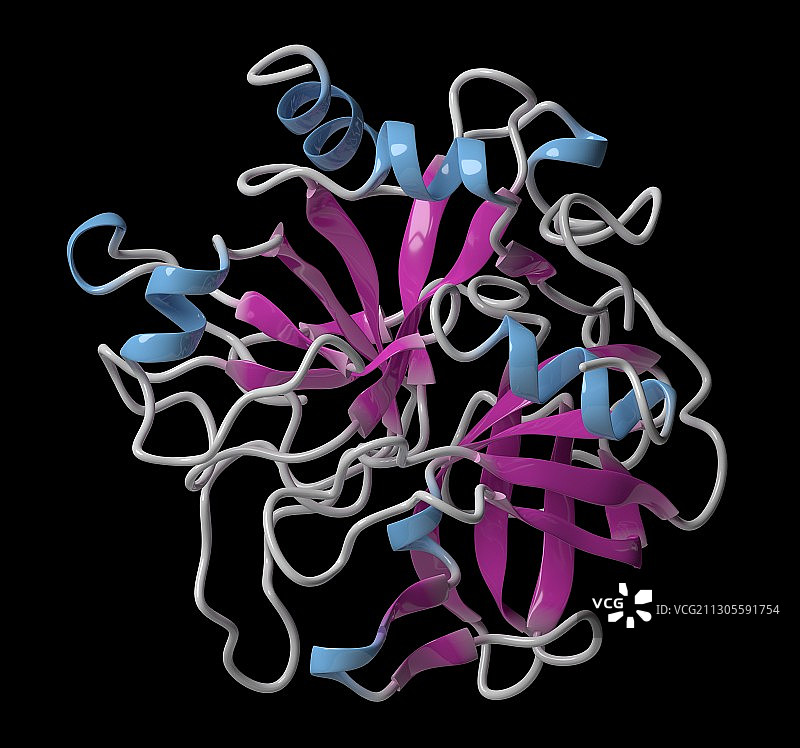 凝血酶酶分子，插图图片素材
