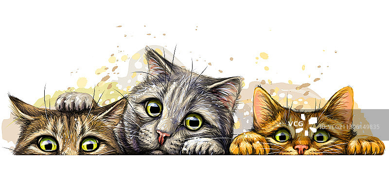猫墙贴纸图形彩色手绘图片素材