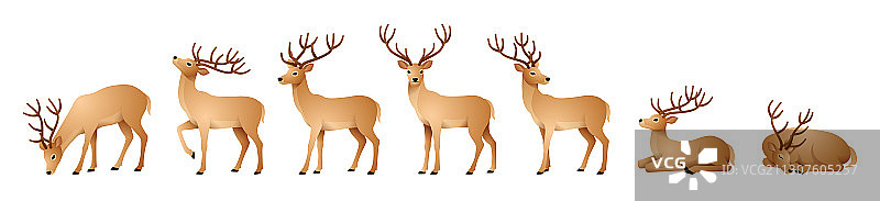 各种动态的鹿插画图片素材