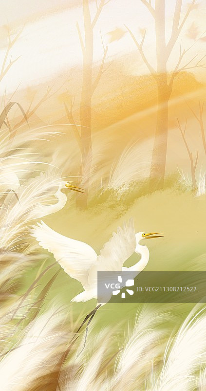 二十四节气秋季风景画白鹭鸟图片素材