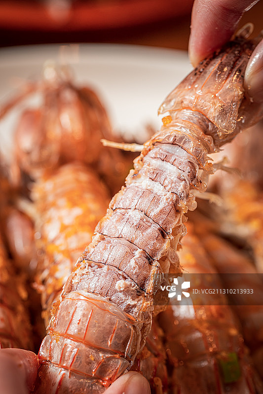 海鲜虾蛄图片素材