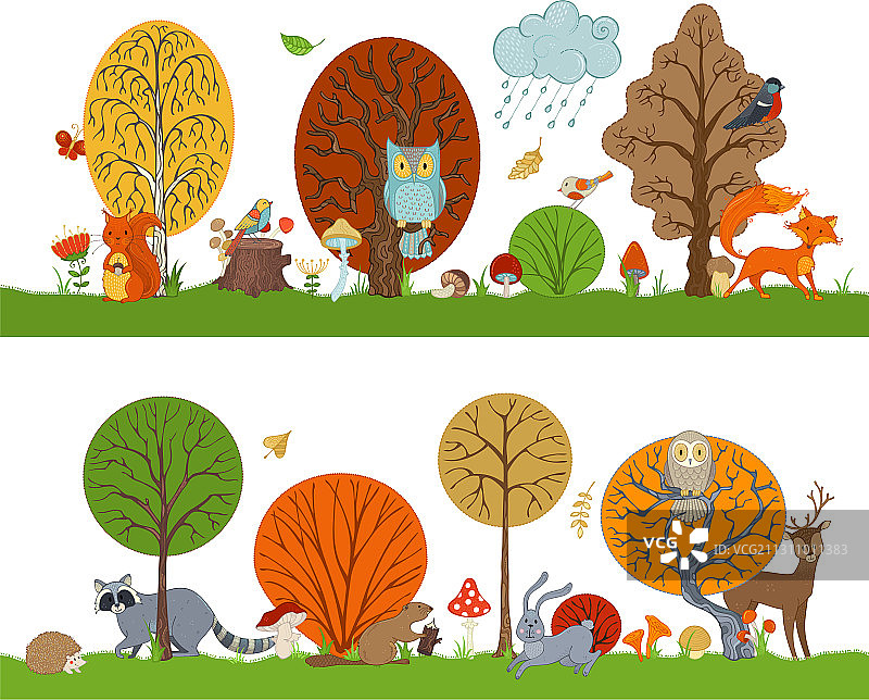 森林里有秋天的树木和可爱的动物图片素材