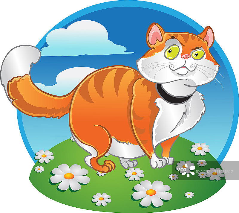 橙色的肥猫在颜色的背景图片素材