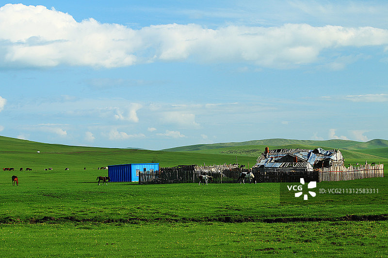 呼伦贝尔草原绿色牧场人家风景图片素材