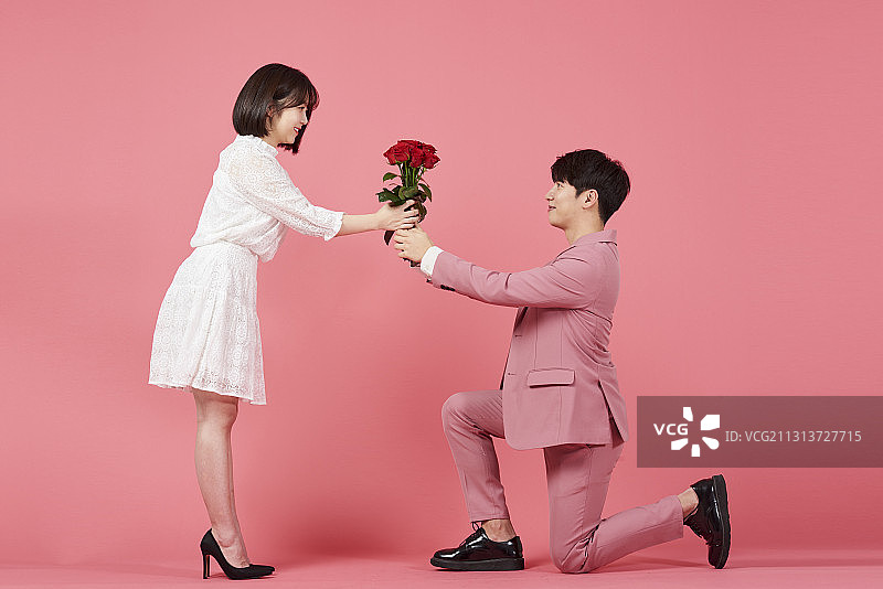 男子跪向女子求婚，在粉红色背景下赠送玫瑰花束图片素材