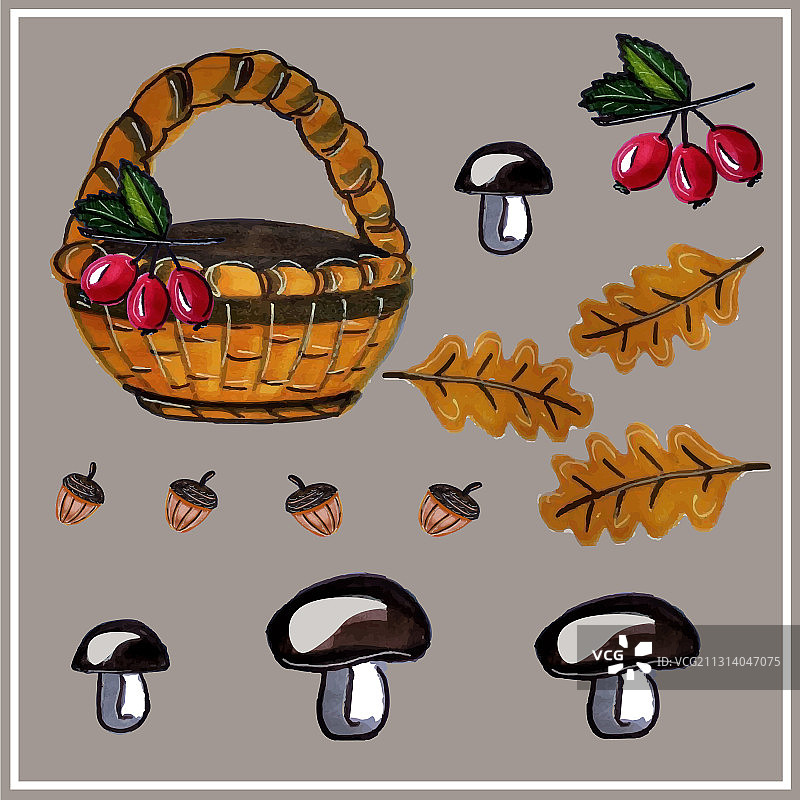 秋叶蘑菇浆果橡子篮子图片素材