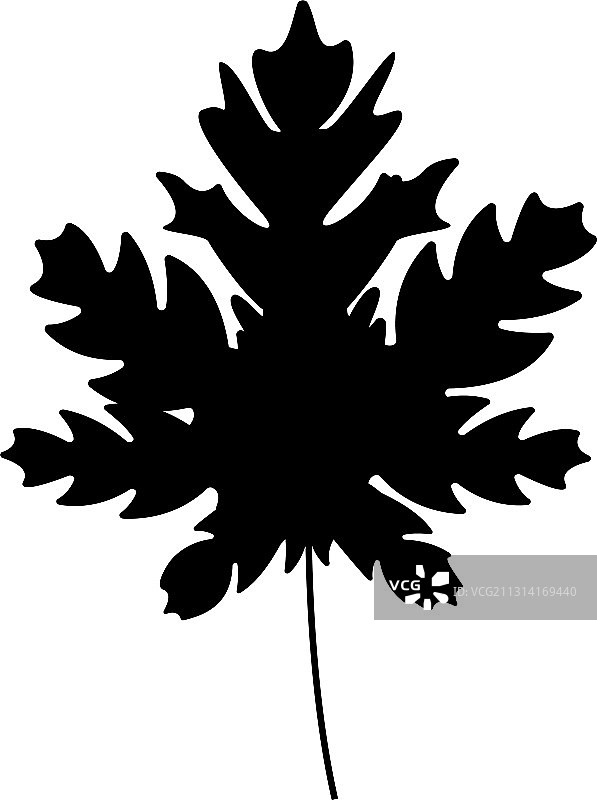 木瓜黑色剪影棕榈叶图标图片素材