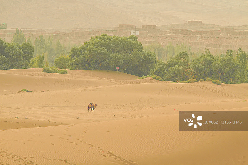 新疆吐鲁番鄯善沙漠图片素材