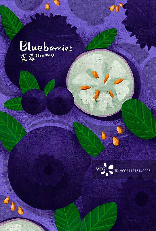 原创水果之蓝莓图片素材