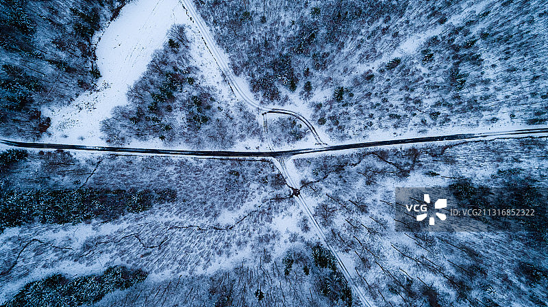 鸟瞰图的道路在森林中的树木在冬天，德国图片素材